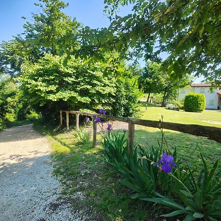 Holiday home La Casa Sul Monte